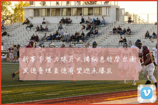 新赛季潜力球员大揭秘惠特摩尔谢泼德普理查德有望迎来爆发