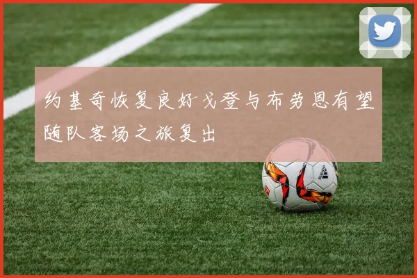 约基奇恢复良好戈登与布劳恩有望随队客场之旅复出