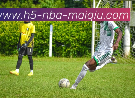 NBA买球网站APP 封面图